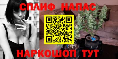 spice Будённовск