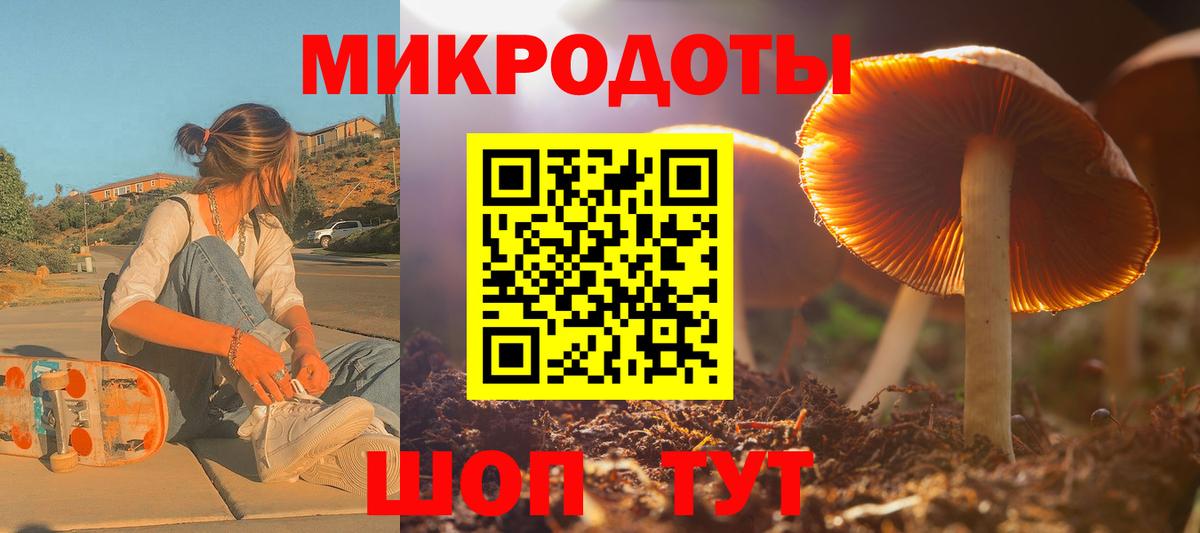 Галлюциногенные грибы ЛСД Новоалександровск
