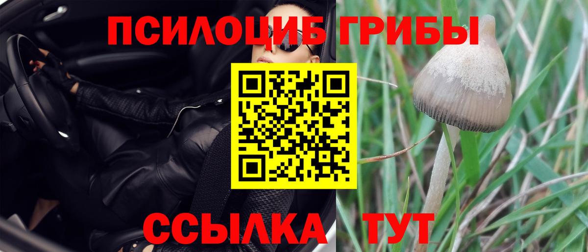 Галлюциногенные грибы GOLDEN TEACHER  Вход с VPN  Псилоцибиновые грибы мухоморы  Новоалександровск 